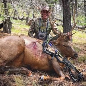 Meet your Posher, Hayden